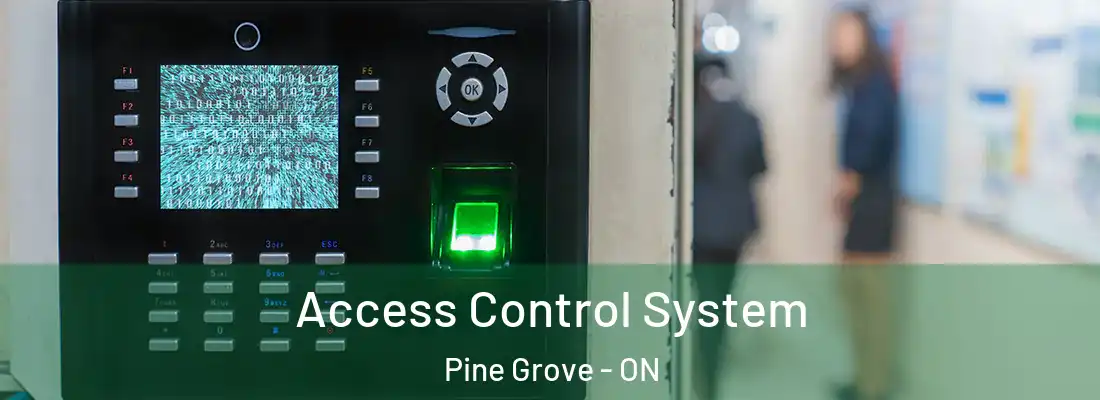  Access Control System Pine Grove - ON