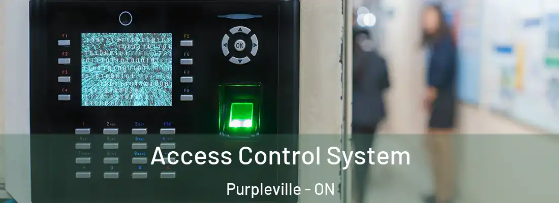  Access Control System Purpleville - ON