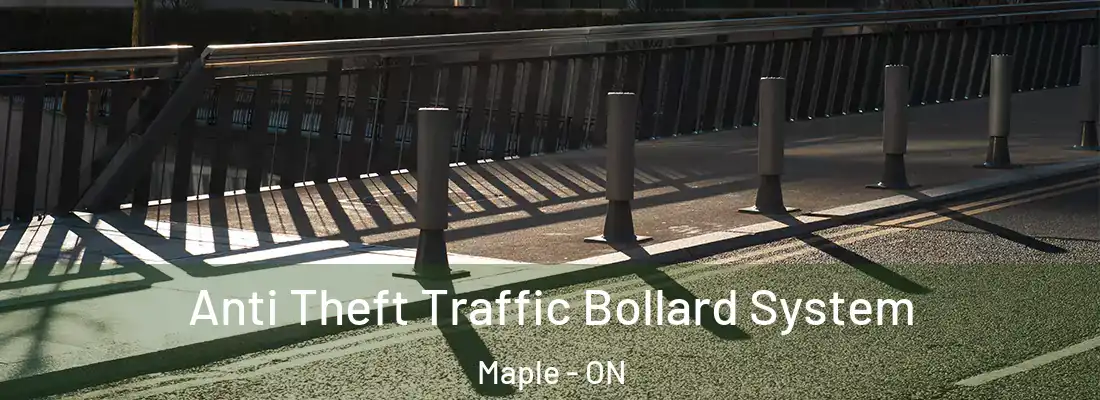  Anti Theft Traffic Bollard System Maple - ON