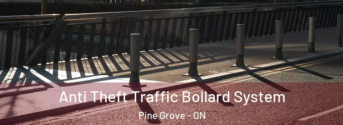  Anti Theft Traffic Bollard System Pine Grove - ON