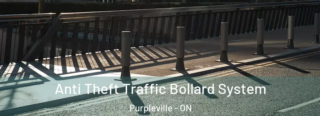  Anti Theft Traffic Bollard System Purpleville - ON