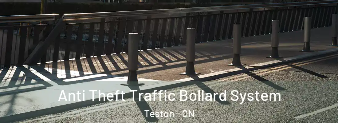  Anti Theft Traffic Bollard System Teston - ON
