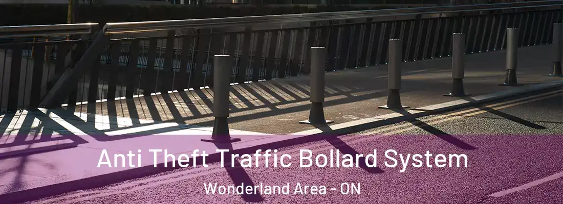  Anti Theft Traffic Bollard System Wonderland Area - ON