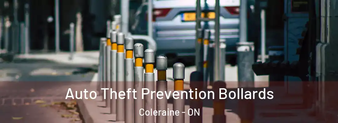  Auto Theft Prevention Bollards Coleraine - ON