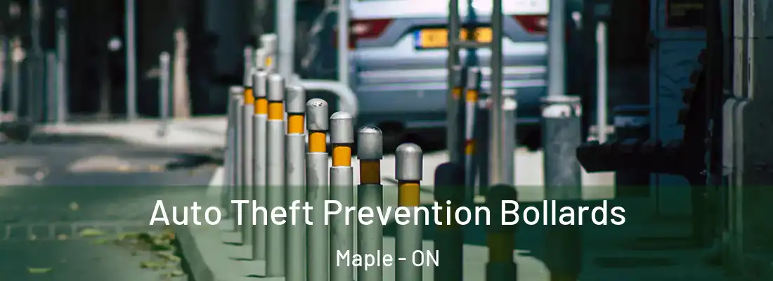  Auto Theft Prevention Bollards Maple - ON