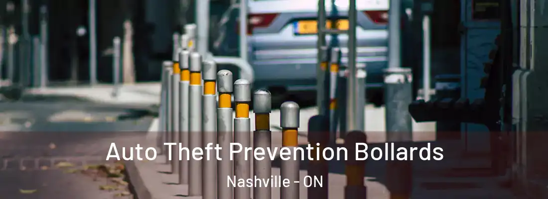  Auto Theft Prevention Bollards Nashville - ON