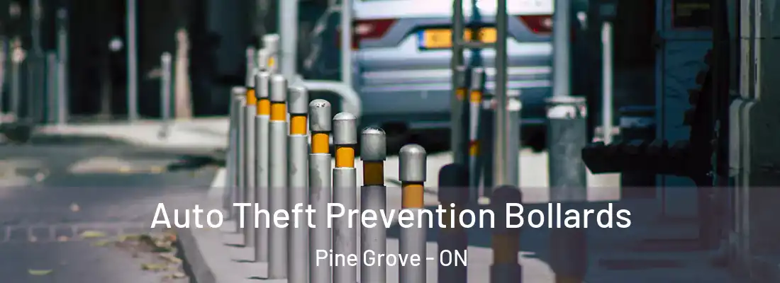  Auto Theft Prevention Bollards Pine Grove - ON