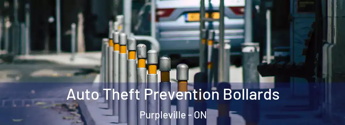  Auto Theft Prevention Bollards Purpleville - ON