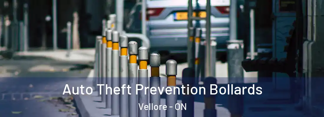  Auto Theft Prevention Bollards Vellore - ON