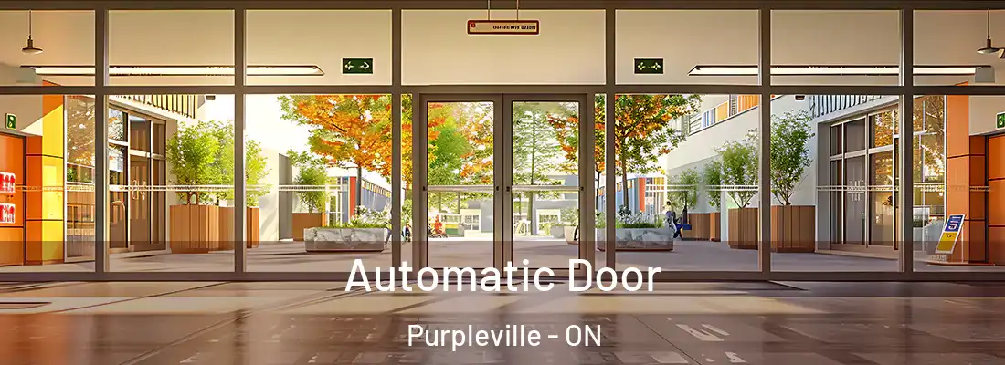  Automatic Door Purpleville - ON