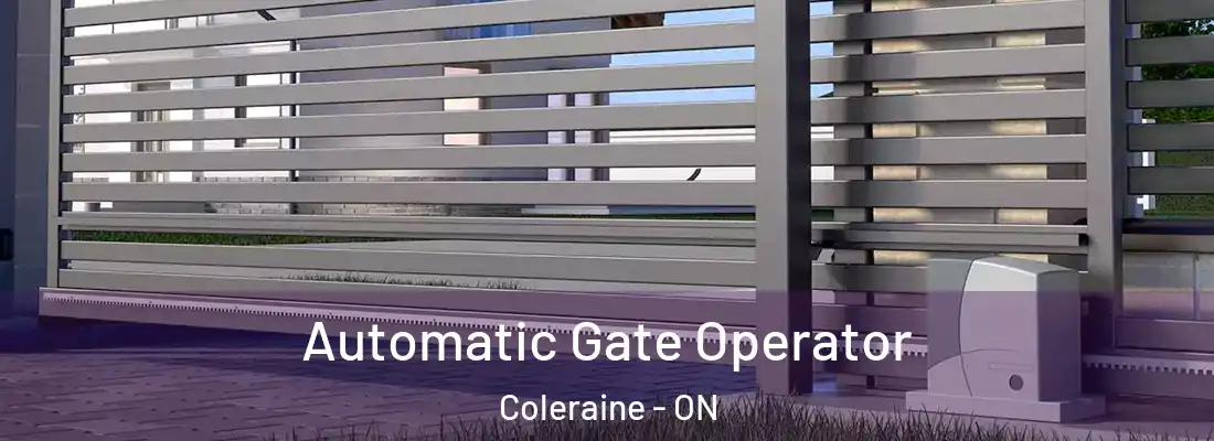  Automatic Gate Operator Coleraine - ON