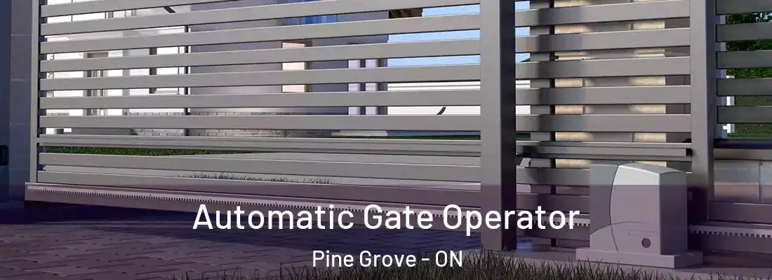  Automatic Gate Operator Pine Grove - ON