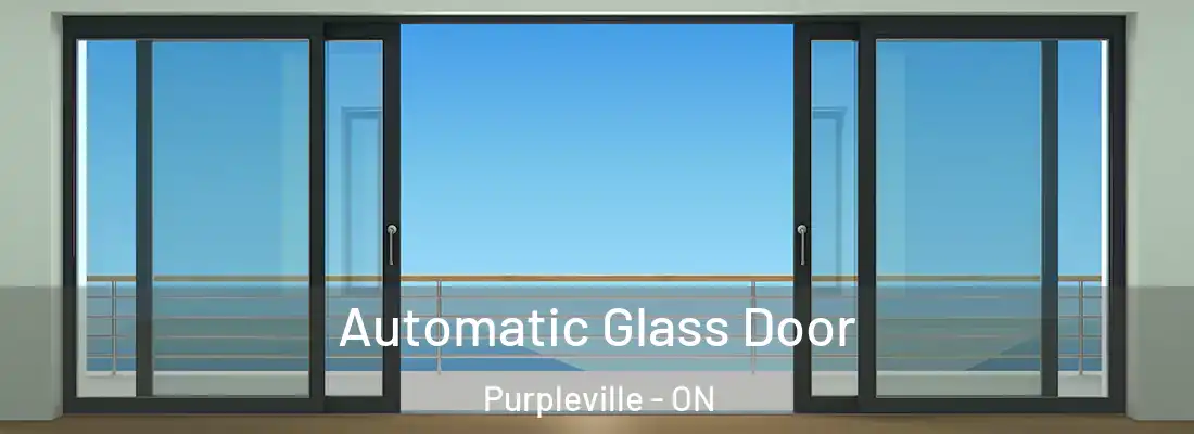  Automatic Glass Door Purpleville - ON