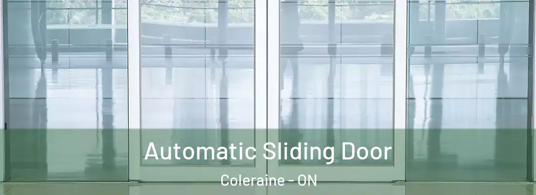  Automatic Sliding Door Coleraine - ON