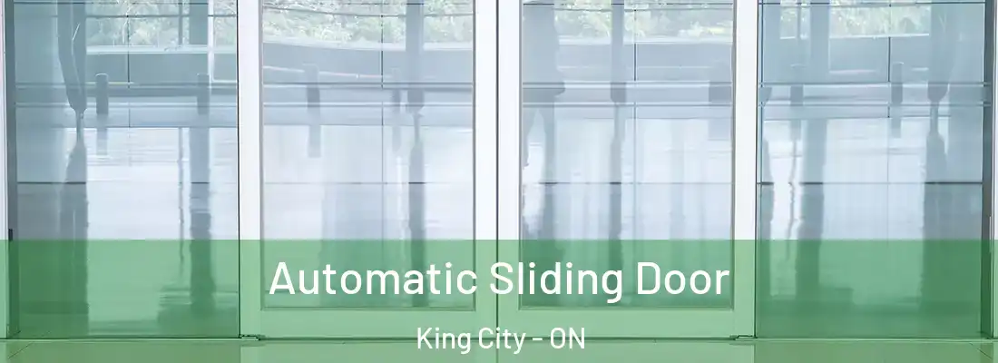  Automatic Sliding Door King City - ON