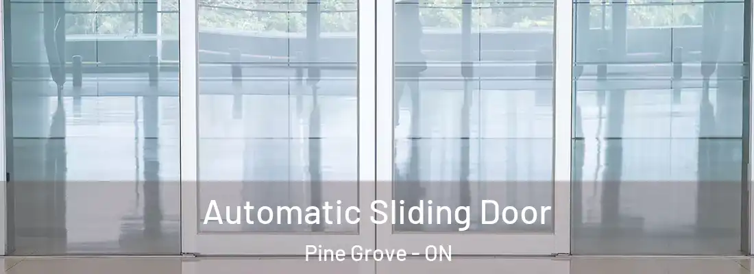  Automatic Sliding Door Pine Grove - ON