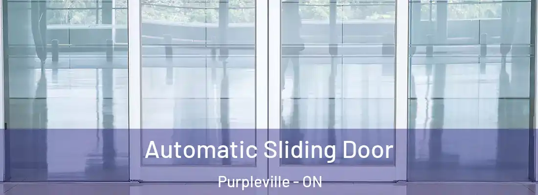  Automatic Sliding Door Purpleville - ON