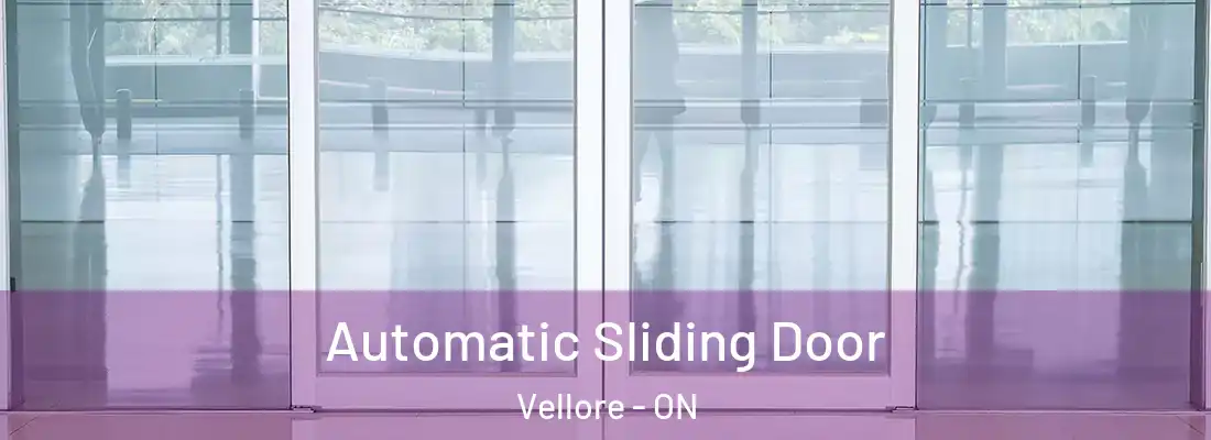  Automatic Sliding Door Vellore - ON