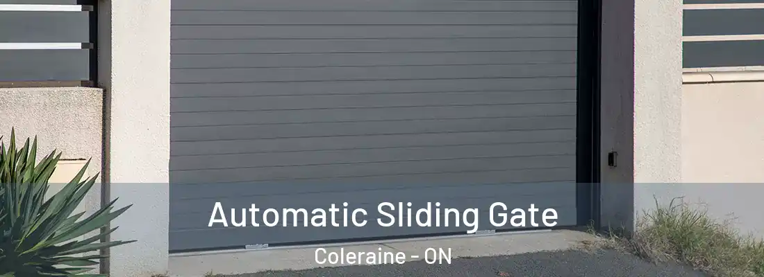  Automatic Sliding Gate Coleraine - ON