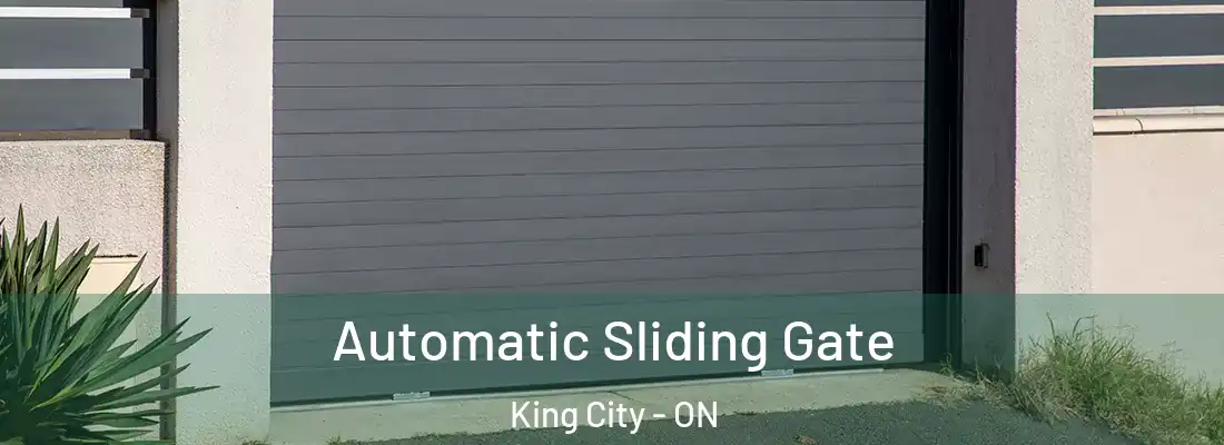  Automatic Sliding Gate King City - ON