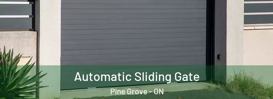  Automatic Sliding Gate Pine Grove - ON