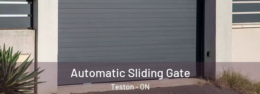  Automatic Sliding Gate Teston - ON