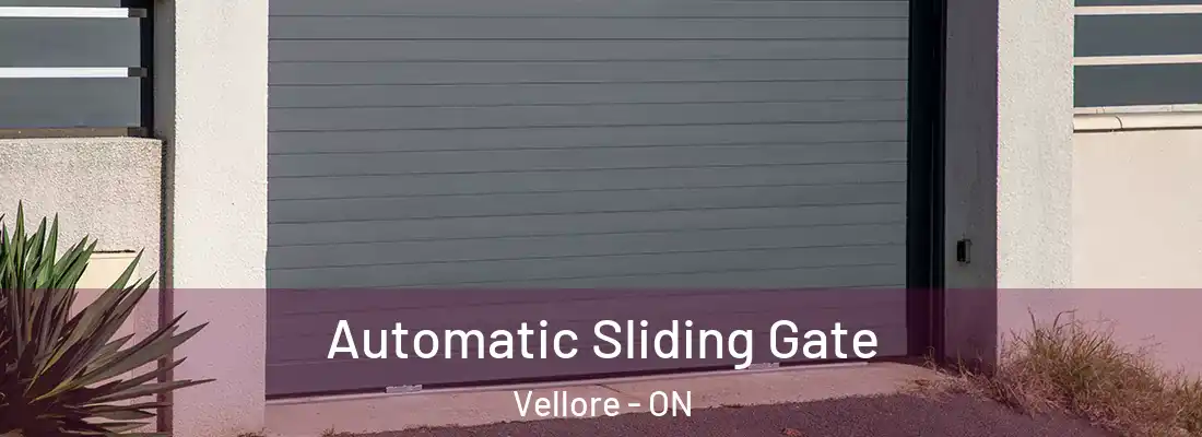  Automatic Sliding Gate Vellore - ON