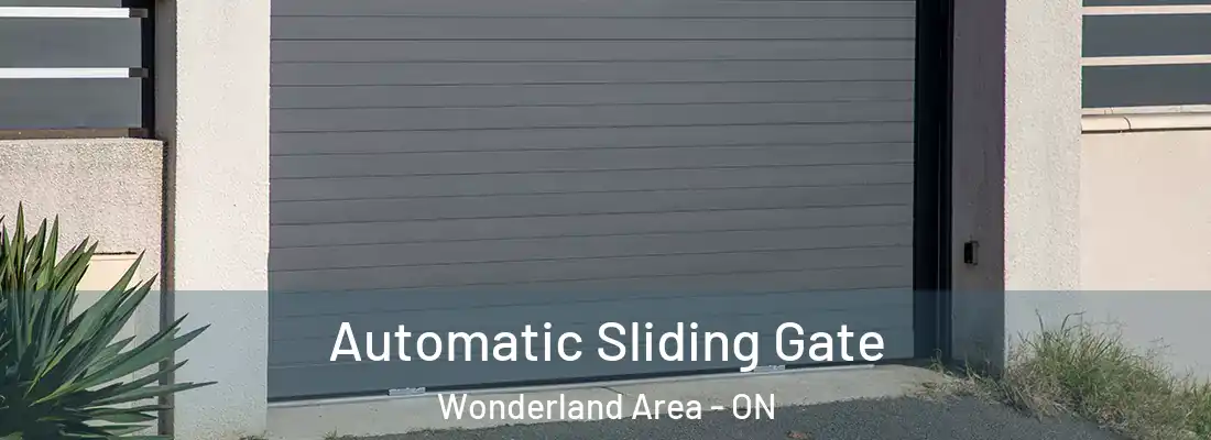  Automatic Sliding Gate Wonderland Area - ON