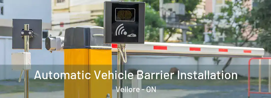  Automatic Vehicle Barrier Installation Vellore - ON