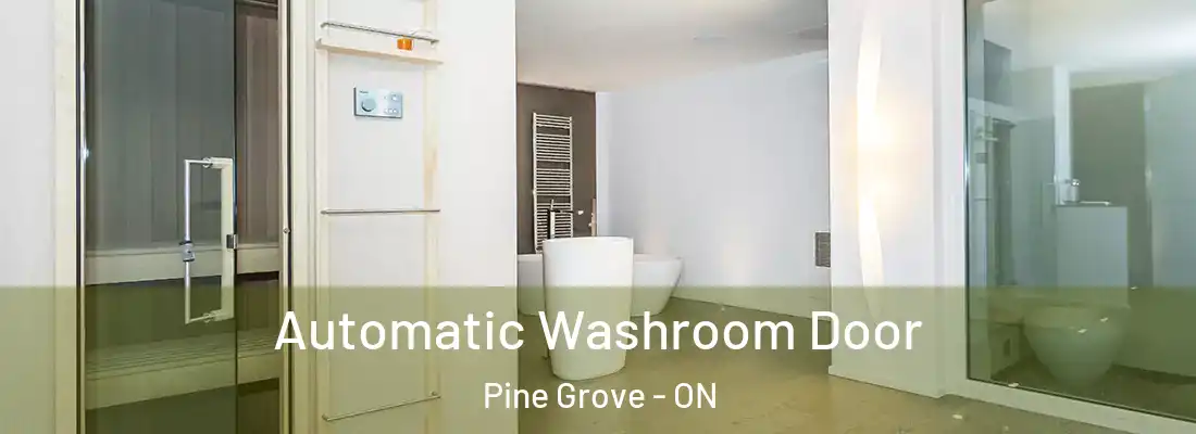  Automatic Washroom Door Pine Grove - ON