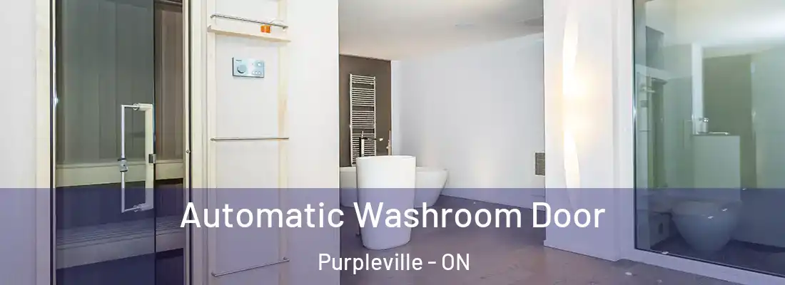  Automatic Washroom Door Purpleville - ON