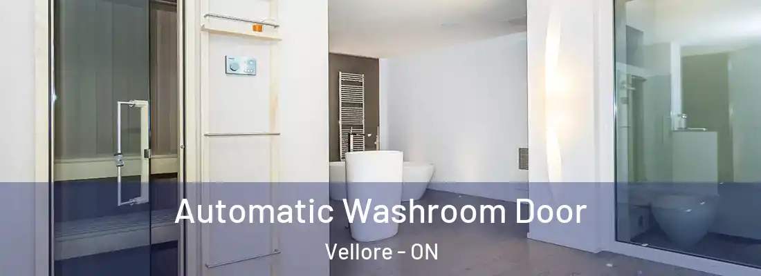  Automatic Washroom Door Vellore - ON