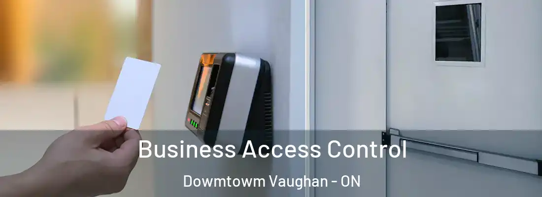  Business Access Control Dowmtowm Vaughan - ON