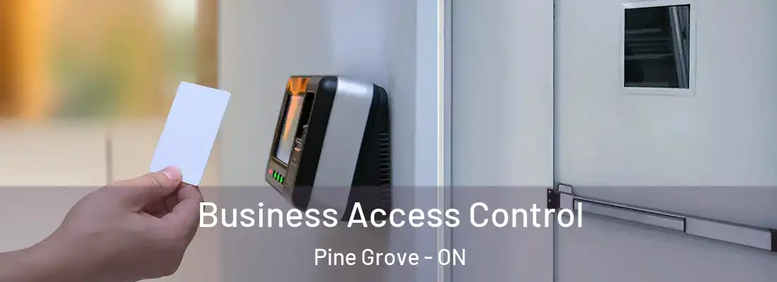  Business Access Control Pine Grove - ON