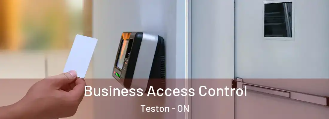  Business Access Control Teston - ON