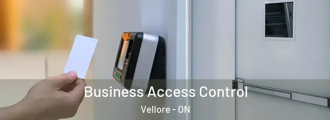  Business Access Control Vellore - ON