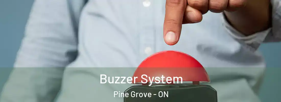  Buzzer System Pine Grove - ON