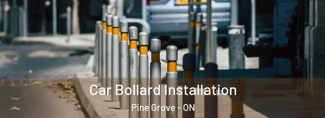  Car Bollard Installation Pine Grove - ON