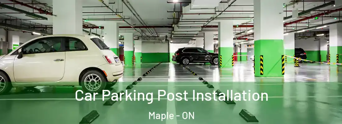  Car Parking Post Installation Maple - ON