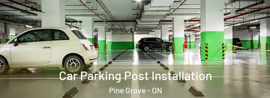  Car Parking Post Installation Pine Grove - ON