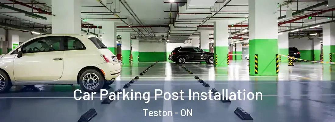  Car Parking Post Installation Teston - ON