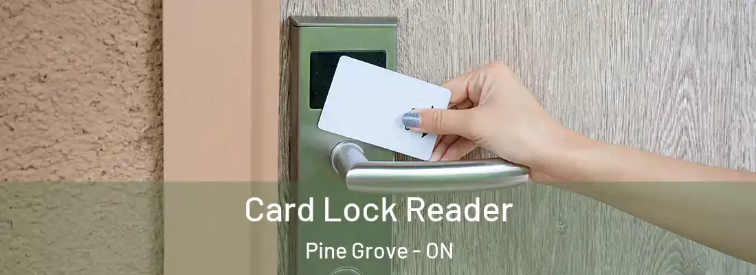  Card Lock Reader Pine Grove - ON