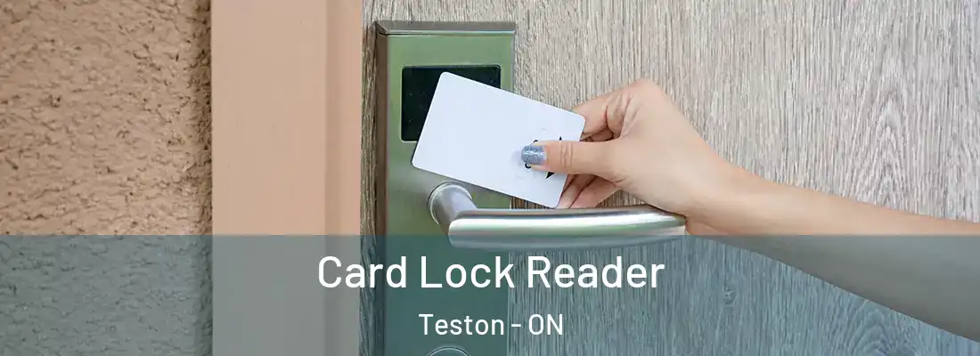  Card Lock Reader Teston - ON