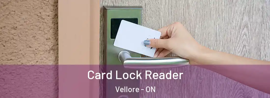  Card Lock Reader Vellore - ON
