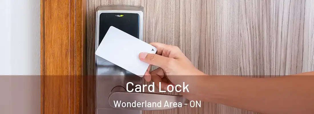  Card Lock Wonderland Area - ON