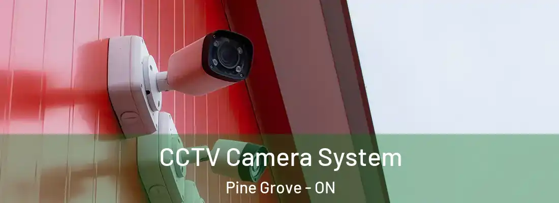  CCTV Camera System Pine Grove - ON