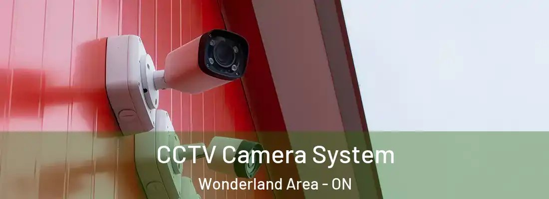  CCTV Camera System Wonderland Area - ON