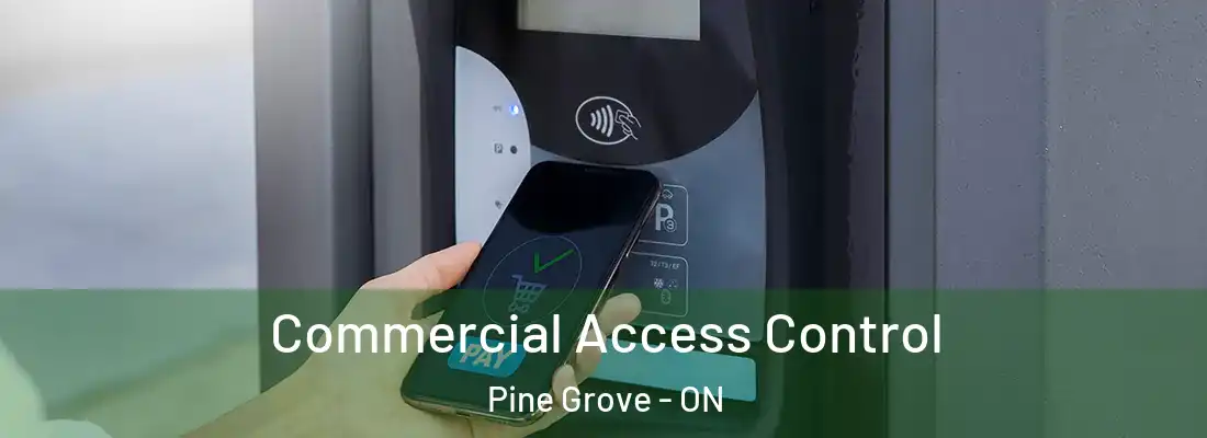  Commercial Access Control Pine Grove - ON