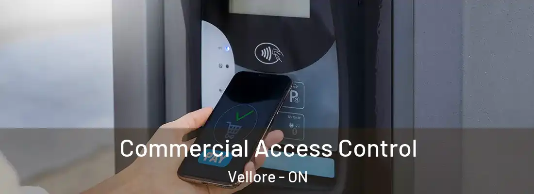  Commercial Access Control Vellore - ON