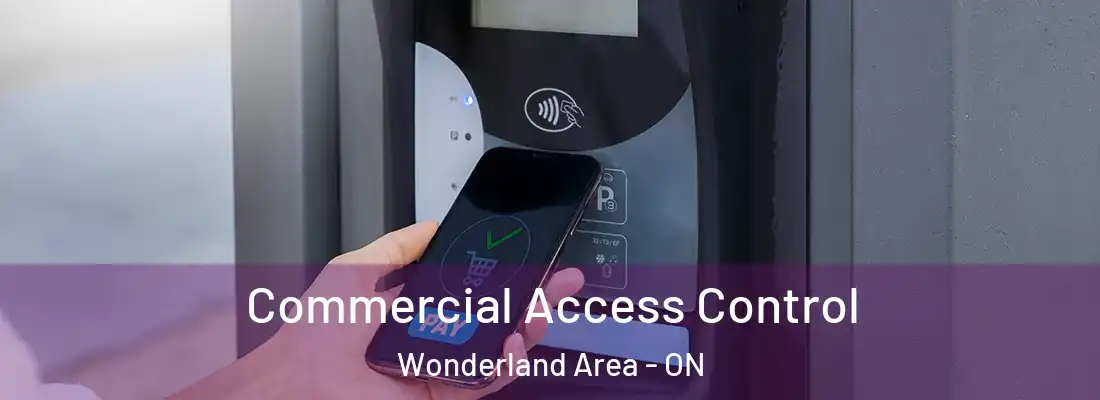  Commercial Access Control Wonderland Area - ON